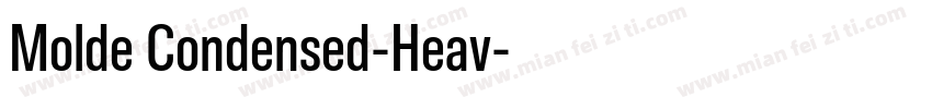 Molde Condensed-Heav字体转换